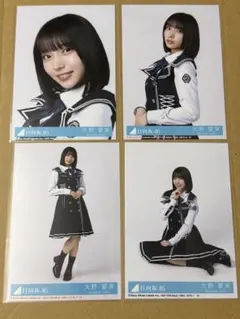 日向坂46 17th封入生写真 正源司陽子 4種コンプ - メルカリ