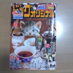ビッグコミックオリジナル 2025年13号