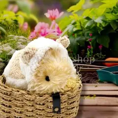 sui -プロフ必読-様 リクエスト 3点 まとめ商品