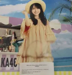 ビルディバイドブライト　乃木坂46　阪口珠美　シークレット　SCサイン　シリアル 2025年最新】ビルディバイド 乃木坂 サインの人気アイテム