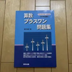 算数プラスワン問題集 中学受験 がんばる小学5・6年生用