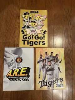 Item thumbnail for item c2ca169a-012f-40fe-9cdb-20da7dedec84