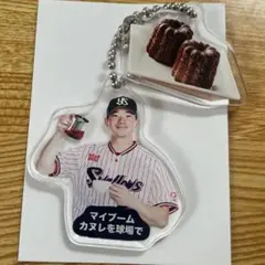 東京ヤクルトスワローズ グルメキーホルダー 木澤尚文