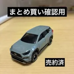 Item thumbnail for item aaeb7413-195e-45aa-870c-328df69441ca