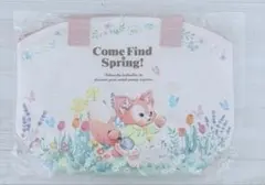 【新品未使用】ダッフィー＆フレンズ　ランチケース　カムファインドスプリング