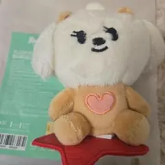 TomorrowxTogether BEOMGYU バムグッ キーリング