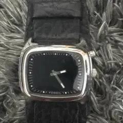 fossil big tic アニメーションタイプ