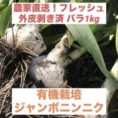 【農薬不使用】生ジャンボニンニク バラ1kgのサムネイル