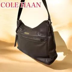 美品 COLE HAAN コールハーン ハンドバッグ レザー シボ皮 本革