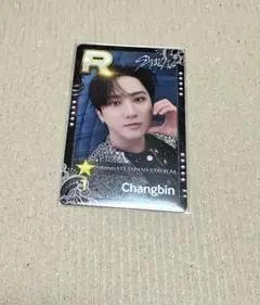 Stray Kids SSJYP チャンビン　エコパ