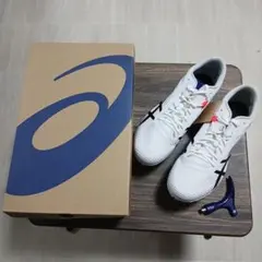 Item thumbnail for item 4c3a0b15-c16b-48a2-8017-a08c2a0e0764