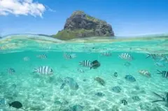 Moon様 リクエスト 3点 まとめ商品