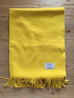 THE INOUE BROTHERS ADAM ET ROPE大判ストール