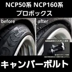 m15069012252_1.jpg?1788599086