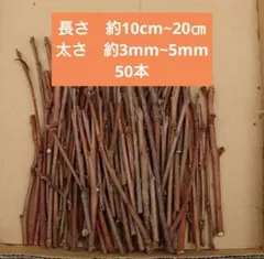 Item thumbnail for item 83ddb6b0-3daf-4d98-83d8-3bd1cd3fa7ef