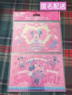 ミニーのファンダーランド ミニパル ミニー 2026 ポストカード