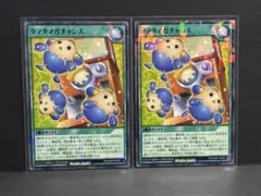 遊戯王ラッシュデュエル　タマタマガチャンス　33枚セット　最強ジャンプ　8月号 遊戯王ラッシュデュエル タマタマガチャンス 33枚セット 最強ジャンプ