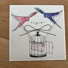 藤田麻衣子 手紙 ～愛するあなたへ～