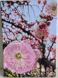 Item thumbnail for item e1bd518a-c39e-41c2-ab0c-61ec545ed000