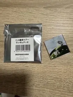 bialystocks ミュージシャン