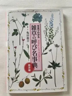 野草