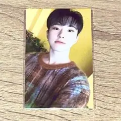 SEVENTEEN ホシ あいのちから タワレコ 特典 トレカ