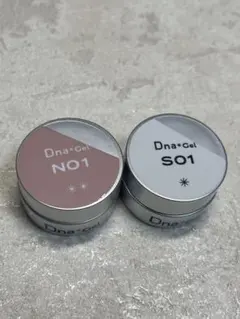 Dna*Gel カラージェルネイル