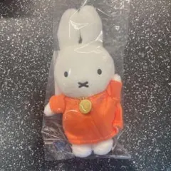 Item thumbnail for item e6d1511b-1457-4565-bfaa-0cd7dc30ff58