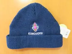 Item thumbnail for item 528a4a25-cbd3-40dc-a42a-09e4b6c5e9f8