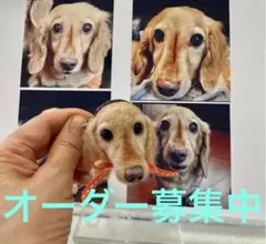 羊毛フェルトオーダー募集中❣️羊毛フェルト　犬　ブローチ
