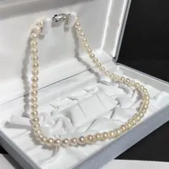 Item thumbnail for item 7d7a60be-ba2d-456a-812d-27bc948b6a28