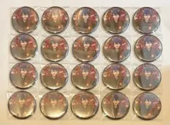 桃源暗鬼 ケモ耳ゴシックパーティー 缶バッジ 一ノ瀬 四季