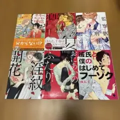 ボーイズラブ漫画 6冊セット