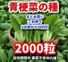 カイカイ様 リクエスト 5点 まとめ商品