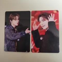 SEVENTEEN ライヒア トレカ ディノ