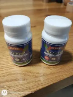 Item thumbnail for item 482d5ed5-8e94-425a-9496-6f8e837ba3f1