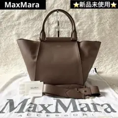 新品未使用✨　MaxMara アニータ　ハンドバッグ　2way ブラウンのサムネイル