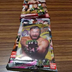 RIZINウエハース 24 No.09 扇久保博正