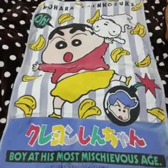 Item thumbnail for item 152a0199-1a4b-42ca-a388-e19169556f8d