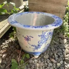 瀬戸焼 古瀬戸 花草文 植木鉢 蘭鉢 - メルカリ