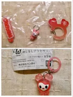 TWICE LOVELYS カプセルカラビナ&めじるしアクセサリー　２点セット