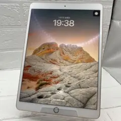 iPad Air (第3 世代) 64GB ピンクWi-Fi 画面焼けあり