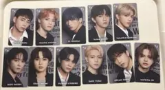 てんちゃん様 リクエスト 2点 まとめ商品