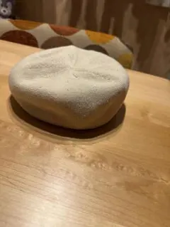 ノースフェイス 春夏向け ベージュ ニット メッシュ ベレー帽