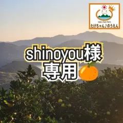 shinoyou様専用