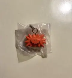 Daisuke Kondo めじるしアクセサリー