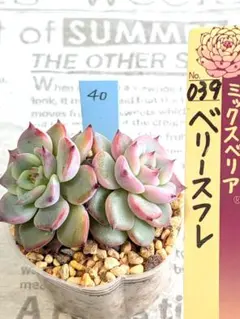 Totto.T様 リクエスト 3点 まとめ商品