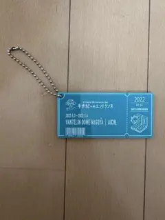 Mr.Children 30周年ツアー キーホルダー バンテリンドームのサムネイル