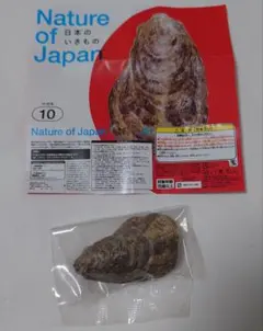 Nature of Japan 日本のいきもの ガチャ ガチャガチャ マガキ