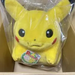 【新品】ポケットモンスター ポケモン30周年記念 おかえり！ピカチュウ1/1